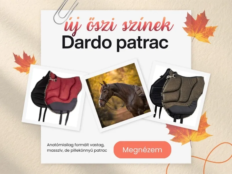 Barefootwebshop.hu Lófelszerelések