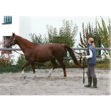 Futószár fekete 7,50 m