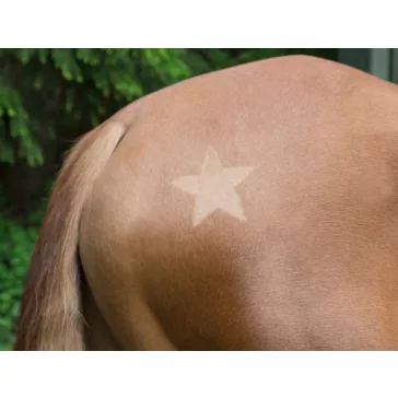 Nyírósablon, 3db-os szett