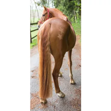 Nyírósablon, 3db-os szett