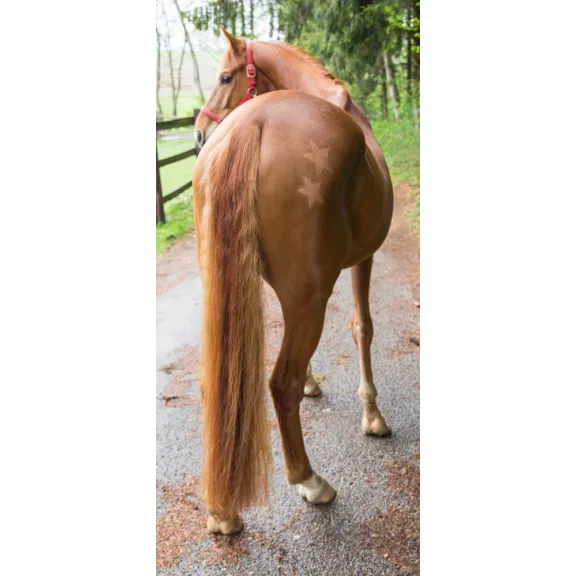 Nyírósablon, 3db-os szett