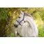 Mustang kötőfék, 3, kék/fekete