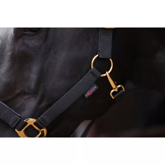 TopLine kötőfék, fekete, pony