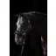 ClassicSoft kötőfék, kék, pony