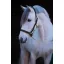 Kötőfék bőr Pony fekete