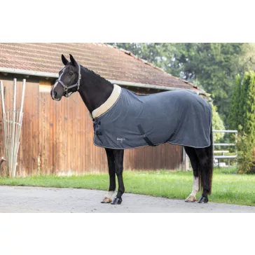 RugBe Royal lótakaró