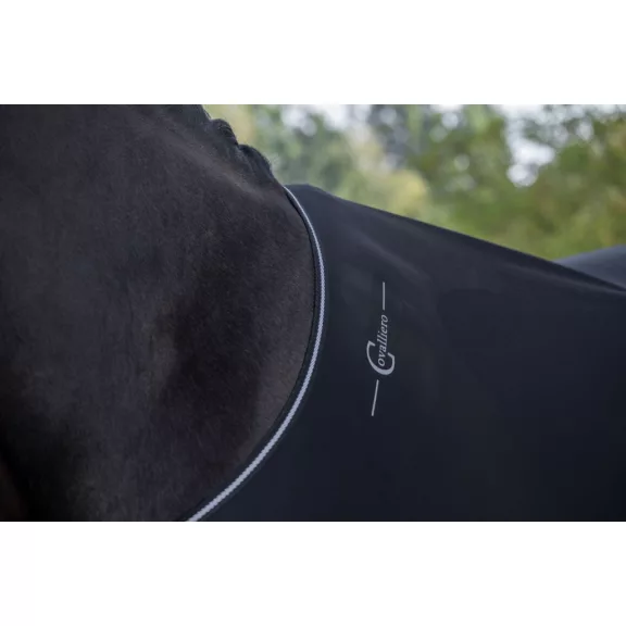 Séta-takaró lovaknak