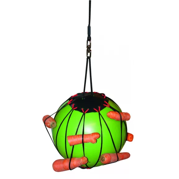 Terápiás labda lónak 25 cm