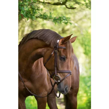 Classic kantár, full, barna