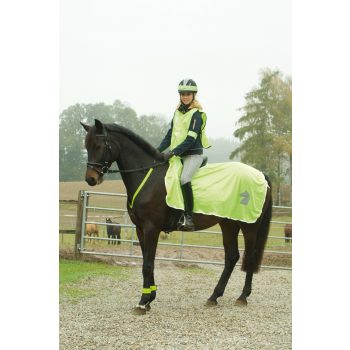 Fényvisszaverő lótakaró