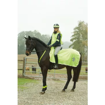 Fényvisszaverő lótakaró