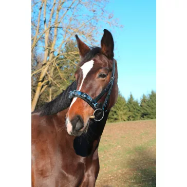 Exclusive bőr kapicán, fekete, full