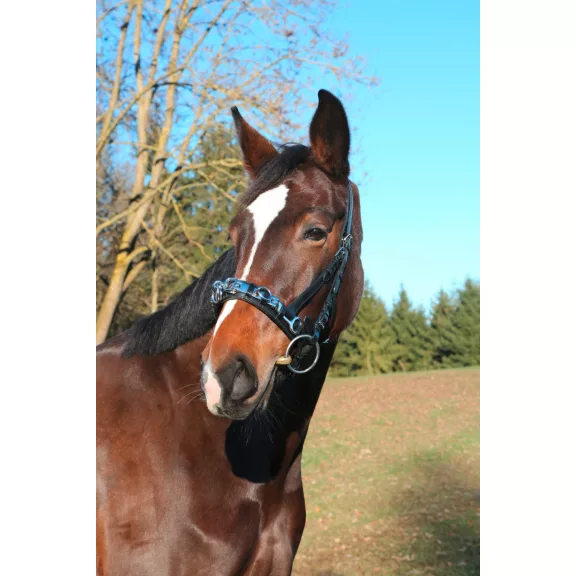 Exclusive bőr kapicán, fekete, full