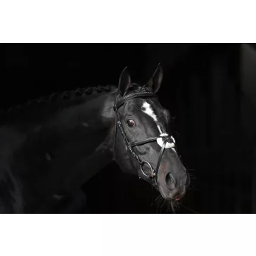 Cancun kantár, fekete