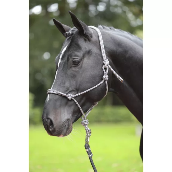Csomózott kötőfék, kék/bézs, pony