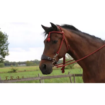 FRA Bodanza classic pamut kantár szárral cob-full