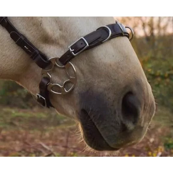 FRA Caval barna cavemore kantár szárral vál. hackamore-al