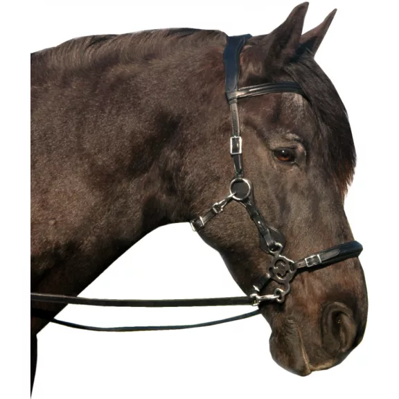 FRA Calli kantár, szár, 2szín, vál. hack.