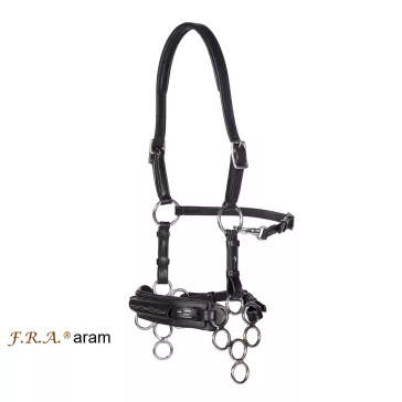 FRA Aram díszvarrásos barna kantár 10féle hackamore-al