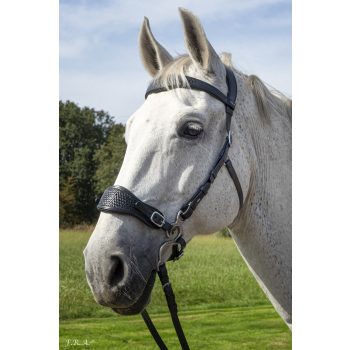   F.R.A. FRA Fiore hackamore-os fekete kantár szett szárral és hackamore-al