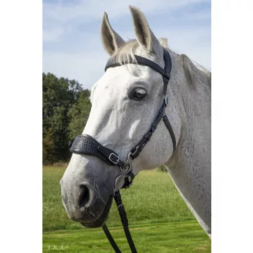   F.R.A. FRA Fiore hackamore-os fekete kantár szett szárral és hackamore-al