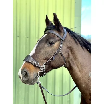   FRA Fiore hackamore-os barna kantár szett szárral és hackamore-al