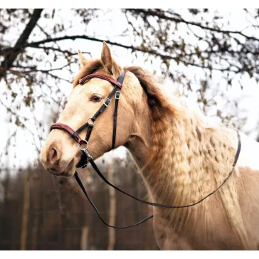 FRA Isabel barna lakkbőr sidepull kantár szett szárral