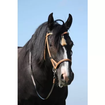   F.R.A. Shango sidepull kantár, western look, natúr bőr pony 