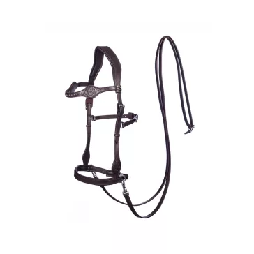   F.R.A. Dandy sidepull poncolt,kristályos bőr kantár szárral, havanna barna