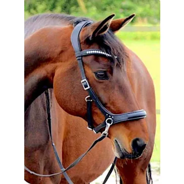   F.R.A. Rebecca strasszos sidepull bőr kantár puha szárral, fekete