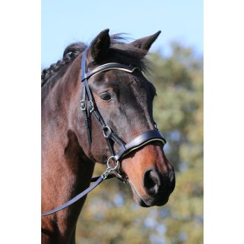   F.R.A. Aruba fekete bőr sidepull kantár szárral és piros/kék/bézs/fekete alátétekkel full 