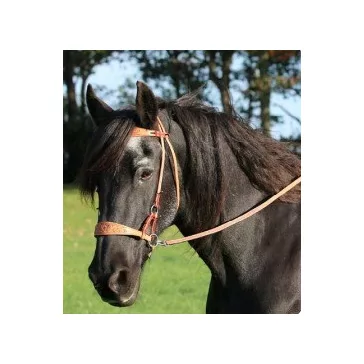   F.R.A. Diego natúr argentin bőr sidepull kantár, osztott szárral