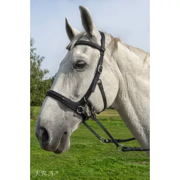 F.R.A. Runa kombi fekete bőr kantár szárral