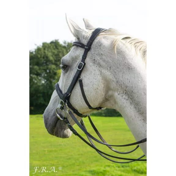 F.R.A. Runa kombi fekete bőr kantár szárral