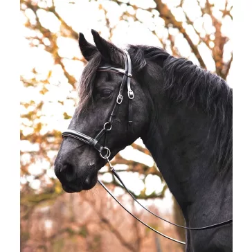   F.R.A. Pardoes de luxe sidepull kantár (syst.3) fekete-bézs leather, szárral