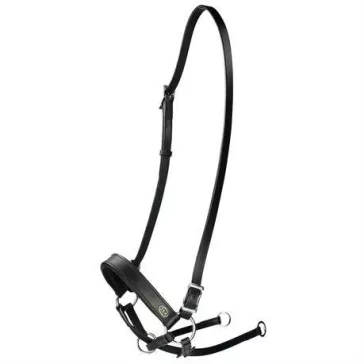   F.R.A. Janosh bőr zabla nélküli kantár bőrszárral (syst.4) fekete cob