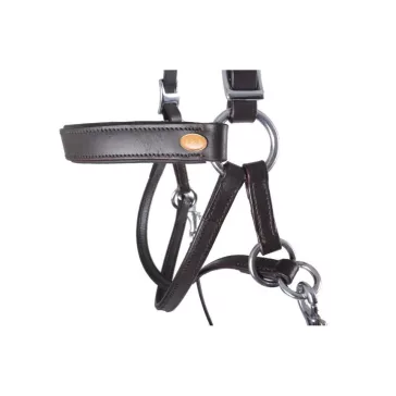   F.R.A. Janosh bőr zabla nélküli kantár bőrszárral (syst.4) barna cob