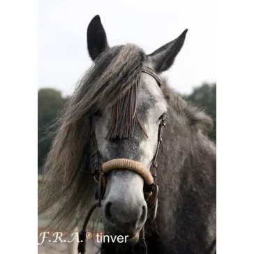   F.R.A. Tinver zabla nélküli kantár (syst.4) szárral, barna