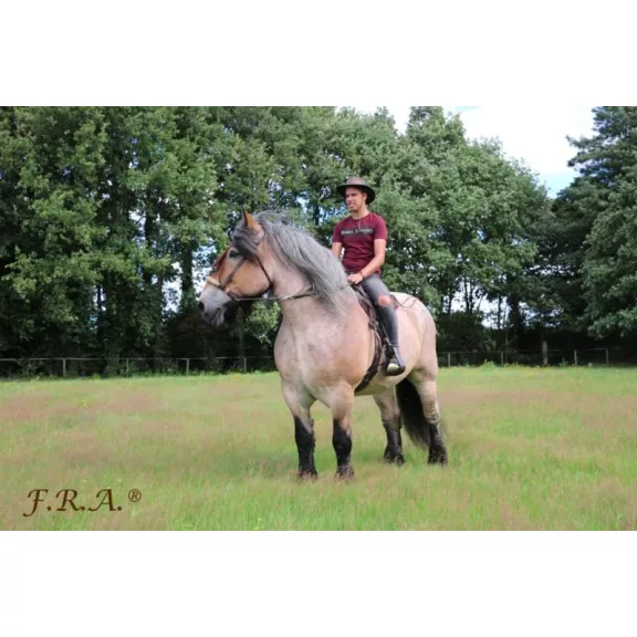 F.R.A. Tinver zabla nélküli kantár (syst.4) szárral, barna extra-full