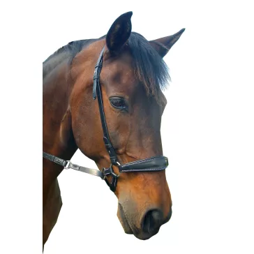 F.R.A. Lami zabla nélküli kantár(syst.4) fekete bőr