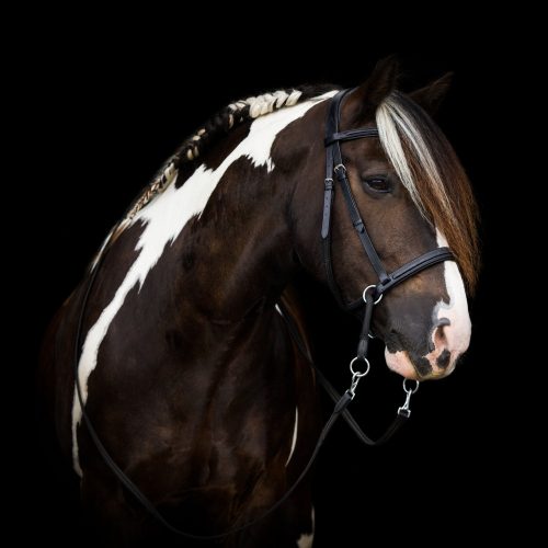 F.R.A. Dietsji zabla nélküli kantár szárral(syst.5) fekete pony