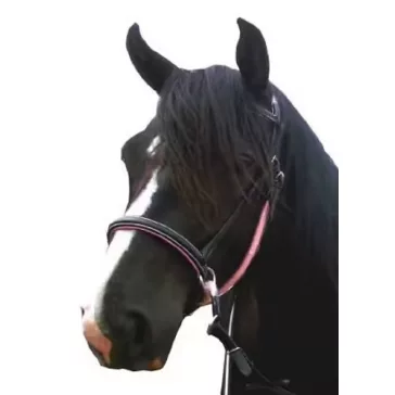   F.R.A. Dietsji zabla nélküli kantár szárral(syst.5) fekete bőr pink díszítés