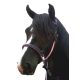 F.R.A. Dietsji zabla nélküli kantár szárral(syst.5) fekete bőr pink díszítés  pony