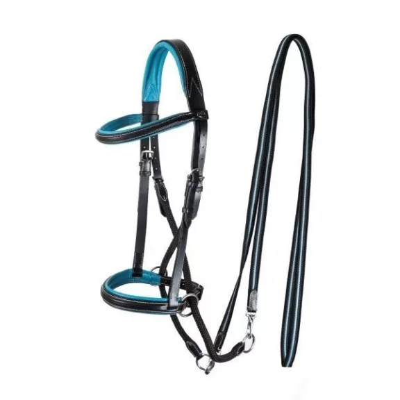 F.R.A. Dietsji zabla nélküli kantár szárral(syst.5) fekete bőr égkék díszítés ,cob