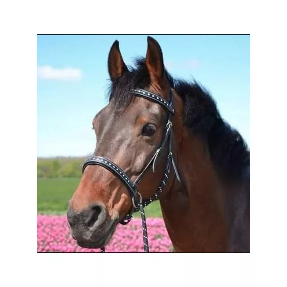 F.R.A. Taiga zablanélküli bőr kantár szárral (syst.5) cob