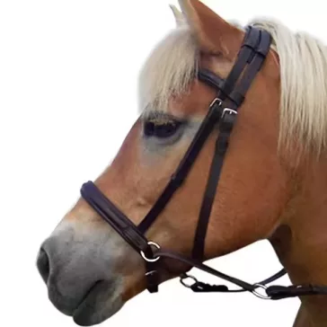   F.R.A. Indy zabla nélküli kantár szárral (syst.5) havanna barna