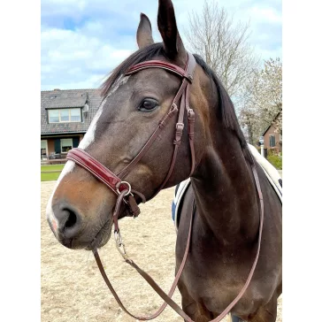 F.R.A. Abbey zabla nélküli kantár szárral (syst.5) barna
