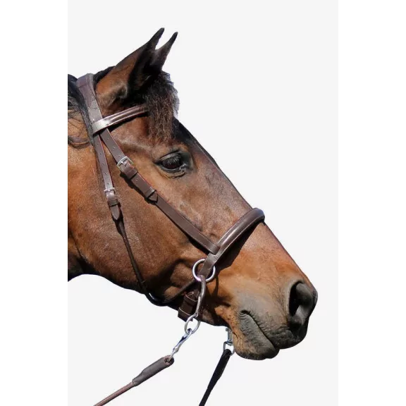 F.R.A. El Camin zabla nélküli kantár szárral (syst.5) barna cob