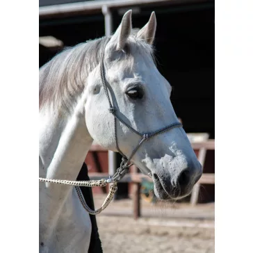 FRA Csomózott kötőfék Babia cob, 6féle szín, 8mm vtg