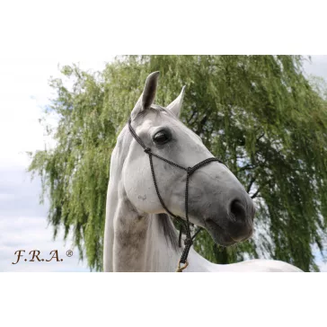   FRA Csomózott kötőfék Babia full méret, 6színnel  8mm vtg